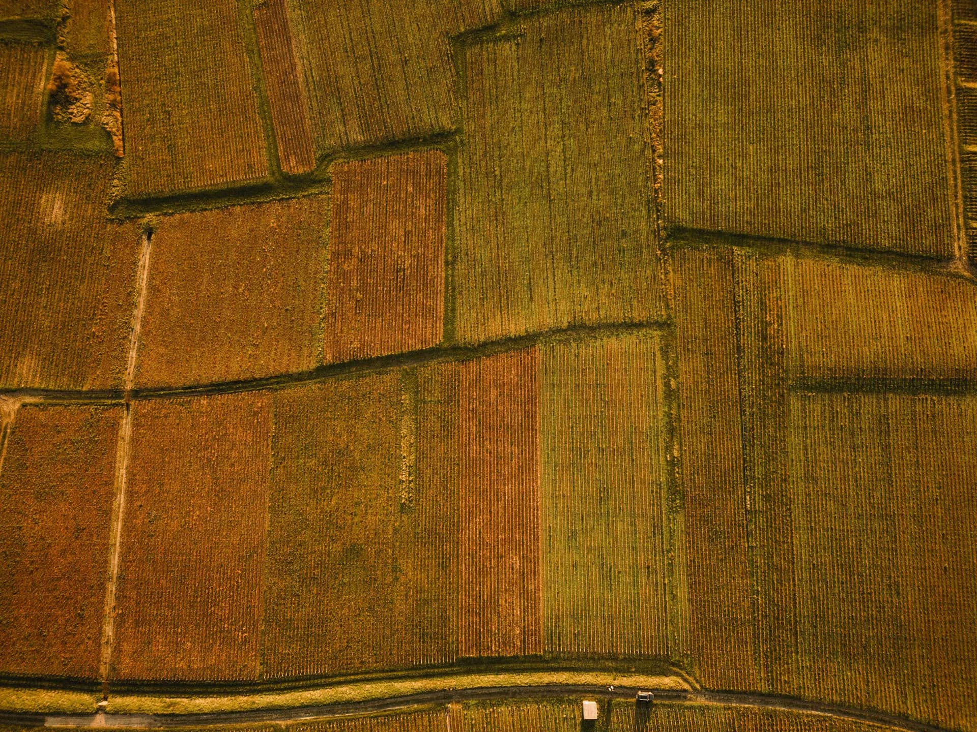 Parts de societes agricoles et groupements fonciers