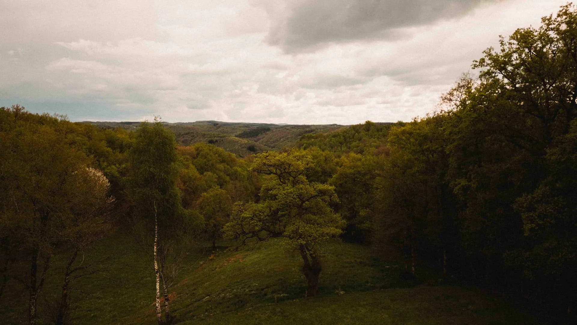 Defiscalisation grace a l'investissement foncier agricole