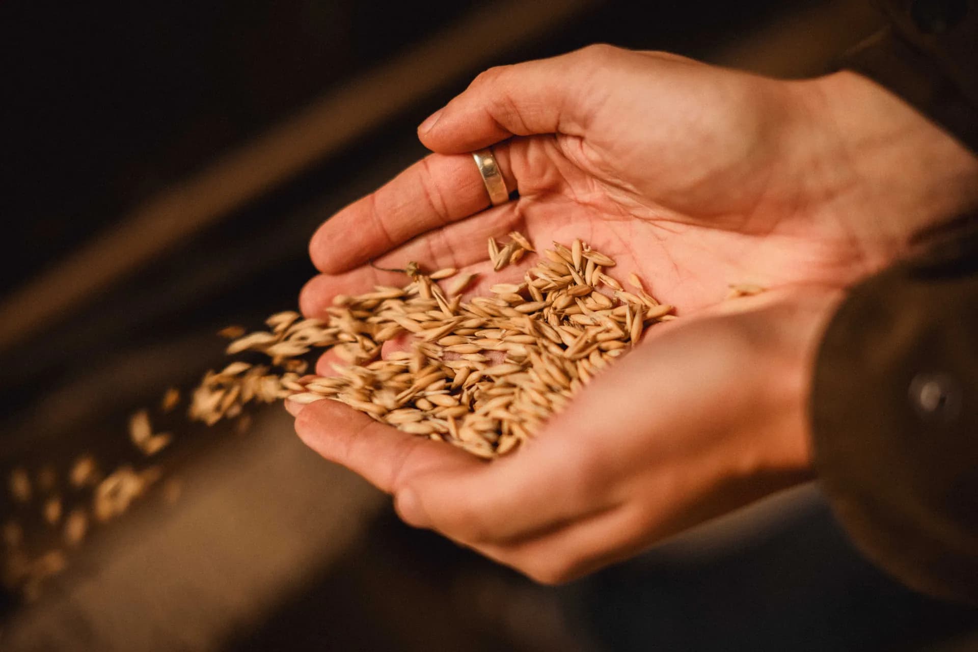Financement de foncier agricole