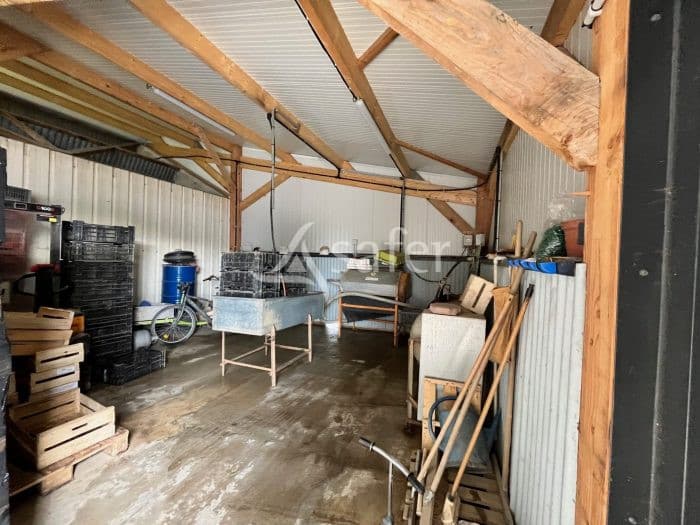 Exploitation Maraîchère/horticulture - Terres agricoles et clientèle - 6.2 ha - - Image 5