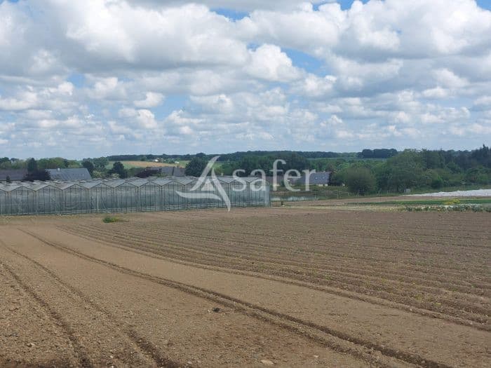 Exploitation Maraîchère/horticulture - Terres agricoles et clientèle - 6.2 ha - - Image 8