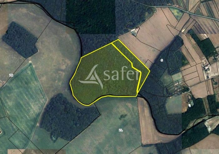 Propriété forestière de qualité – Futaie de chêne avec PSG en vigueur